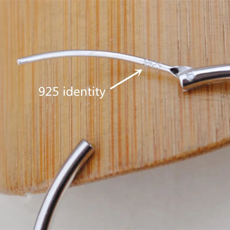 925 Sterling Silver Round Earrings - Classic Simple Stud Jewelry